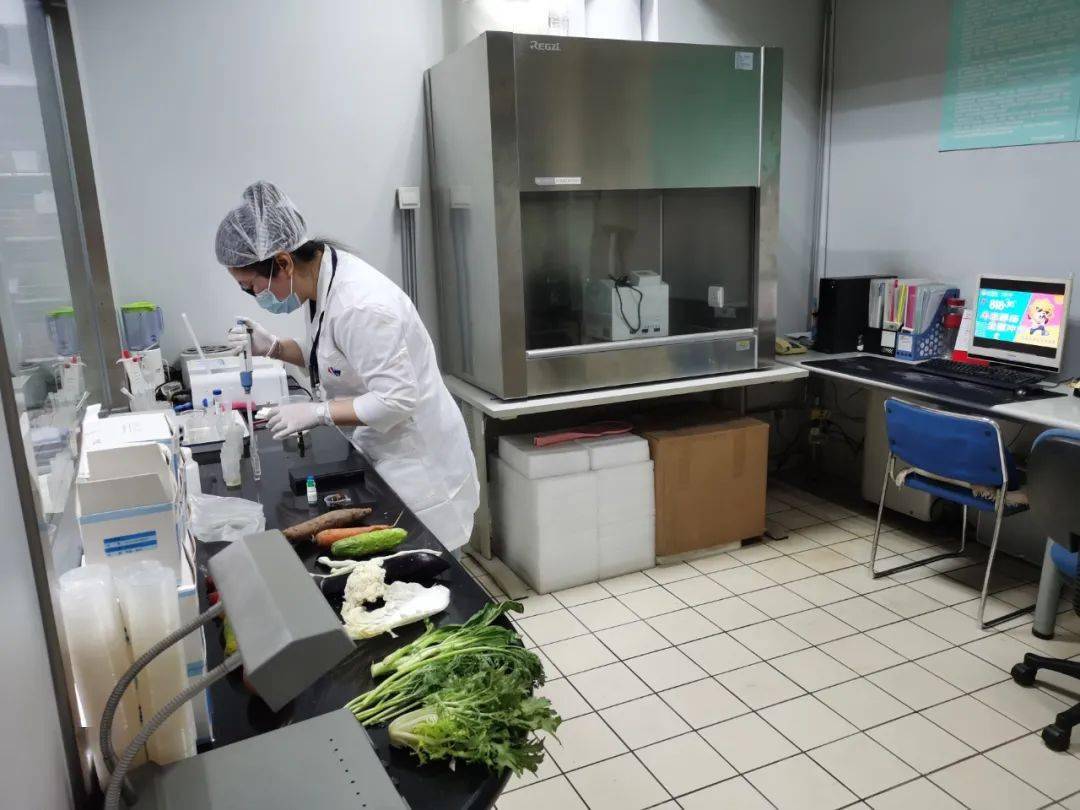 户县食品检测实验室装修方案